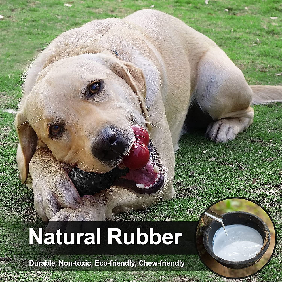 Thumbnail: Dog Toys for Aggressive Chewers Bone Dog Toy Interactive Dog Toys for Large Dog 