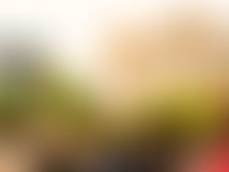 Gender Equality & Trans Rights - Not Human Rights?