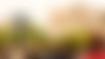 Gender Equality & Trans Rights - Not Human Rights?