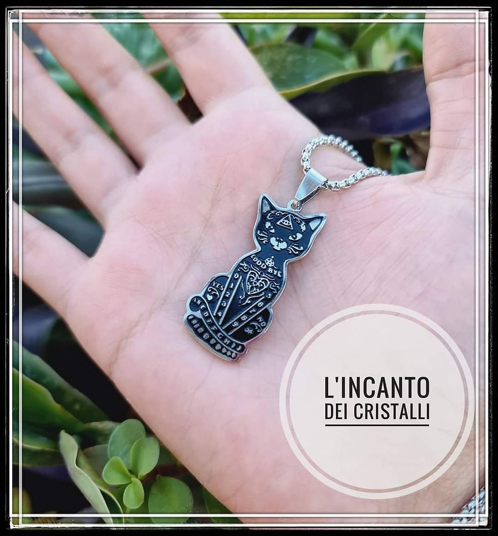 Il Famiglio delle Streghe🥰