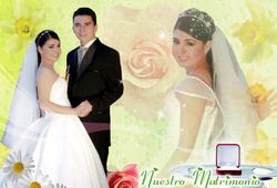 BDM003 copia