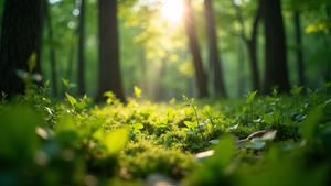 The Importance of Sustainable Living in Today's World