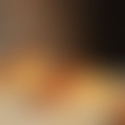 TASTETS DE PIZZA AL GUST