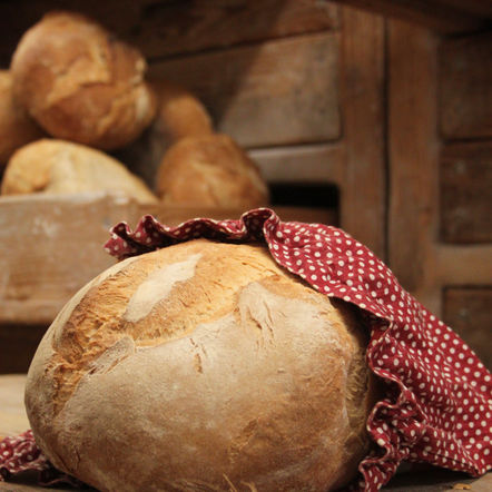 UNA GUIA PER ESCOLLIR EL MILLOR PA PER A CADA OCASIÓ