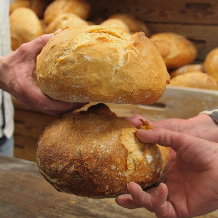 LA HISTÒRIA DEL FORN CAN COROMINAS