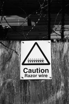 8A817834-2676-48B8-88FF-EE40EA148CC6.jpeg