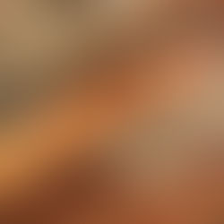 TOP 10 BRIOIXERIES DE CAN COROMINAS