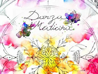 DanzaMedicina -Morena Cardoso-Florianópolis