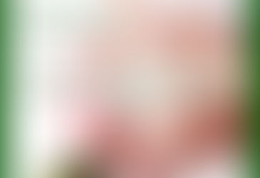 O que faz uma Doula?