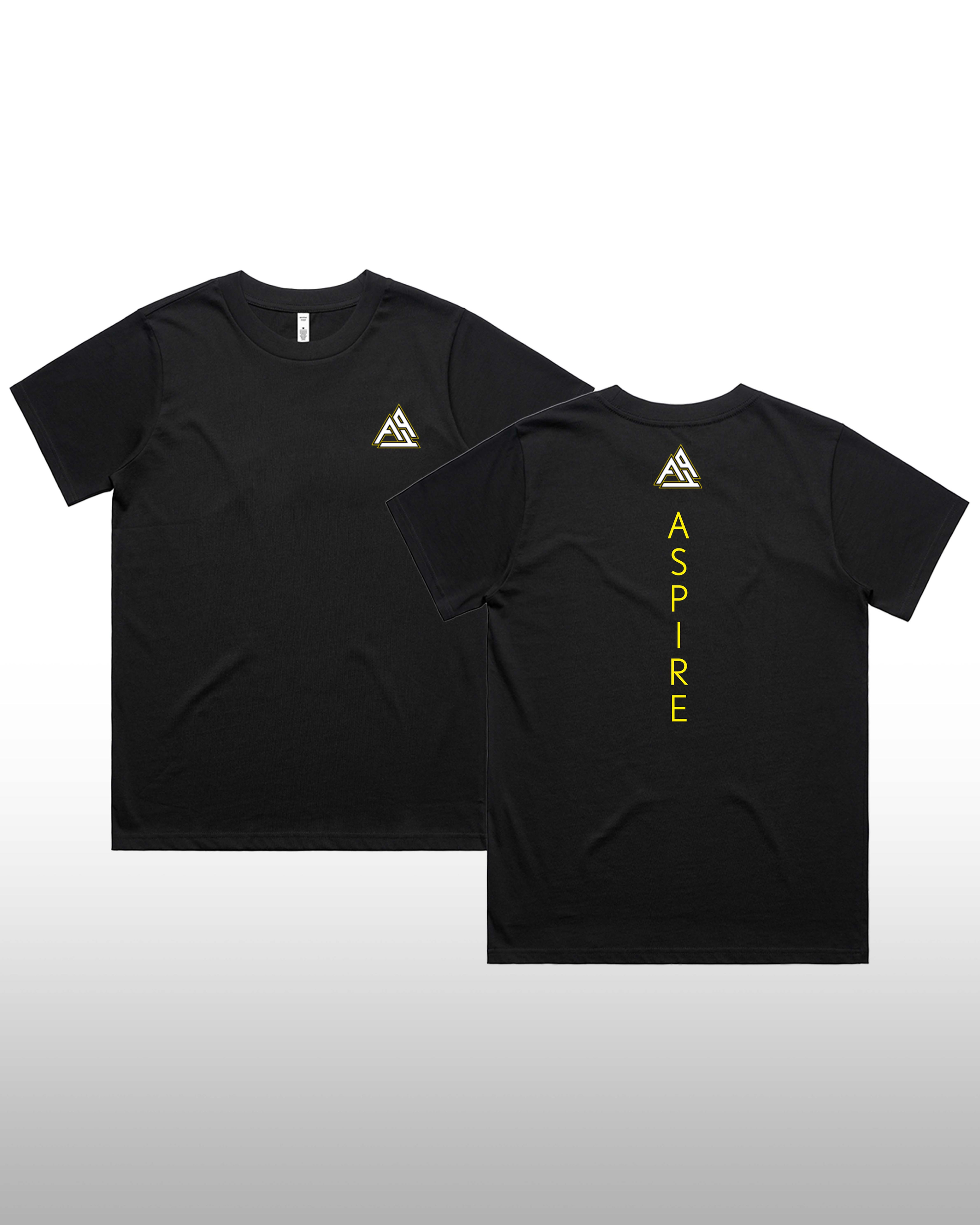 Women's T-Shirt (Aspire)