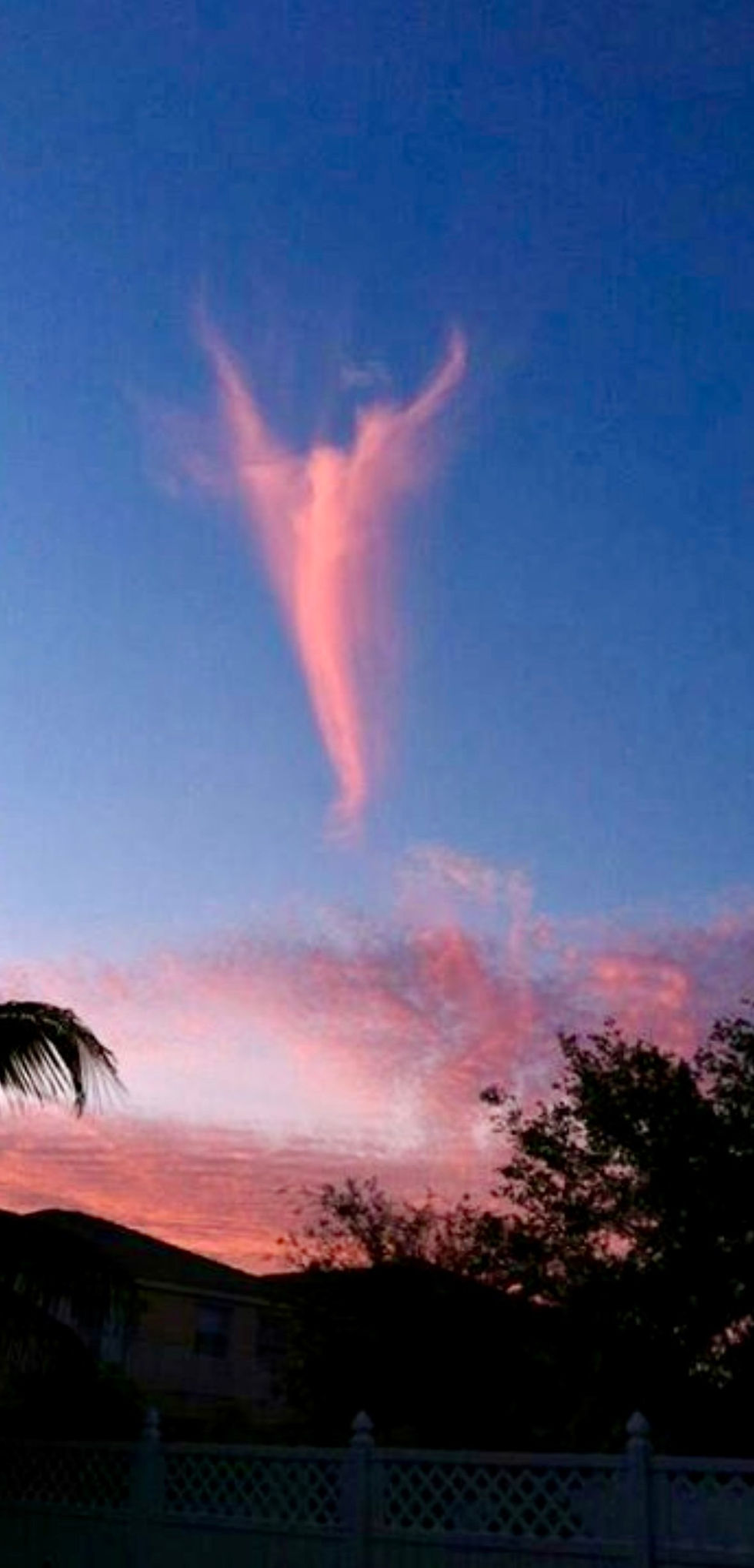 Clouds forming an angel-like shape in the sky at sunset — a heavenly reminder of God’s faithfulness and love.