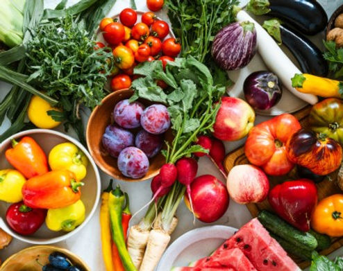 Review of Phytochemicals With Anticancer Properties from Different Sources by Shrija Makwana