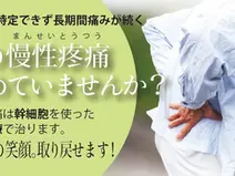 幹細胞点滴治療取り扱い開始のお知らせ