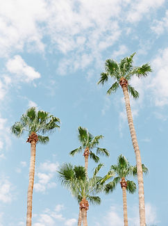 haute-stock-photography-summer-breeze-collection-final-10.jpg