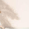 haute-stock-photography-la-la-land-collection-final-1.jpg