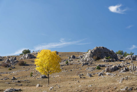 Nîmes-le-Vieux 2