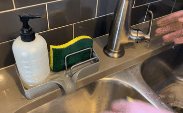 Sponge Draining.gif