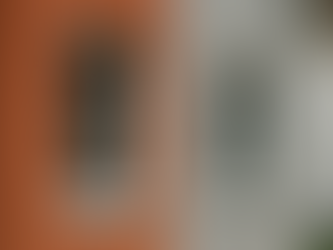 Was ist der Unterschied zwischen Silikonharzfarbe und Silikatfarbe?