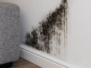 Schimmel an der Wand, was tun?