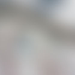 Algen und Moose an Fassaden: Ursachen, Risiken und wirksame Reinigungsmethoden