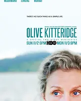 Ambientada en una aparentemente plácida ciudad de Nueva Inglaterra que en realidad es escenario de todo tipo de relaciones ilícitas, delincuencia y tragedia. La historia es narrada desde la perspectiva de Olive, una mujer dura y de fuerte moral. 