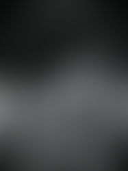 We Have Always Lived in the Castle