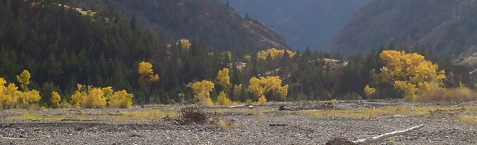 DSC01252.JPG