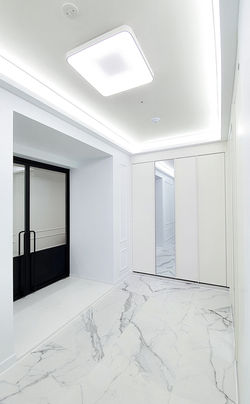 트럼프 월드 마린