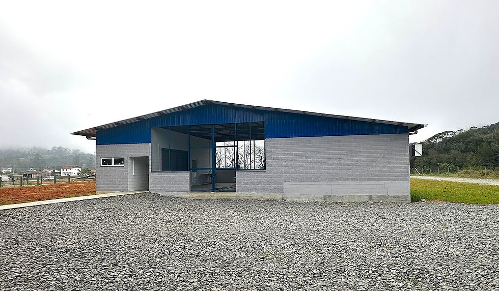 lab.Patolgia.JPG