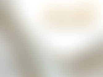 SĀCIES DIASPORAS SKOLU KONKURSS„ZELTA PŪKA”!