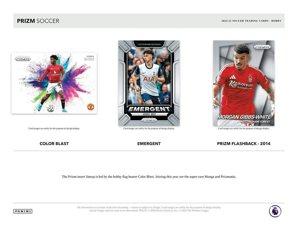 Thumbnail: 2024-25 EPL Panini Prizm Premier League Soccer Hobby Box 