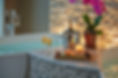 ARISTA-SPA-1488.jpg