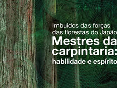 florestas do Japão
