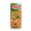 Kayısı Meyve Suyu (200 ml) 