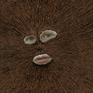 Hidden Brown