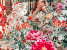 La Vie En Rose