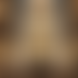 Mythical ceremonial hammer glowing inside a vault, symbolizing camera industry limitations