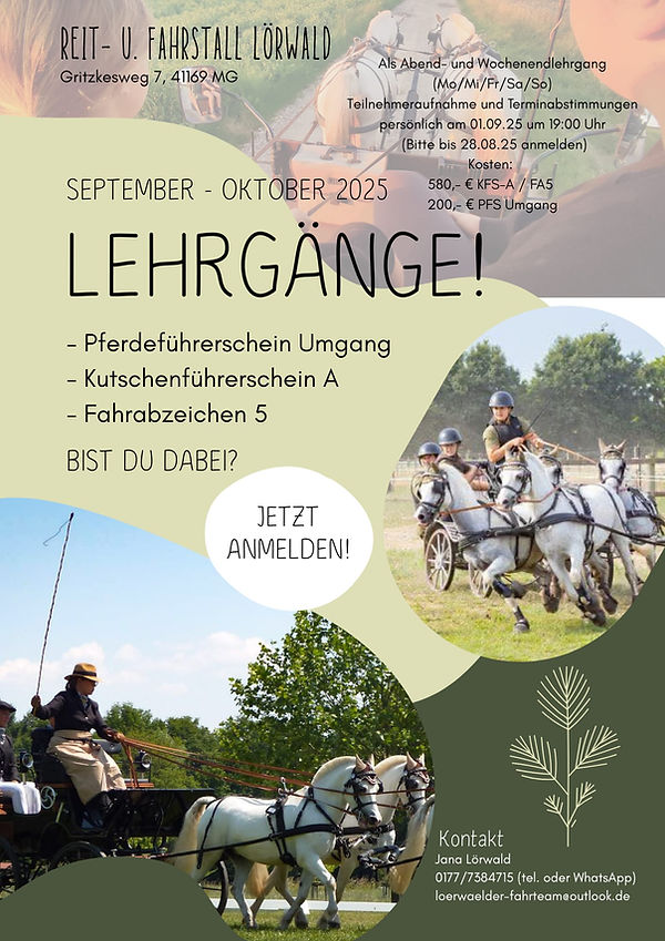 Flyer Lehrgang HErbst 25.jpg