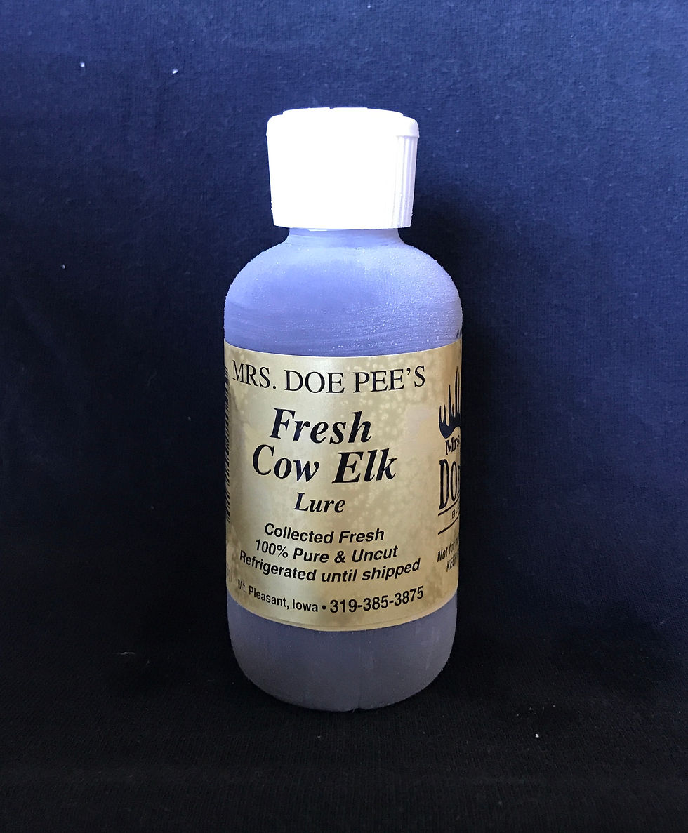 Thumbnail: Fresh Cow Elk