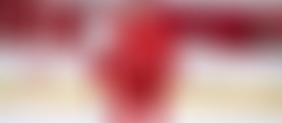 Max Plante Q&A - 10 Questions with Top Red Wings Prospect