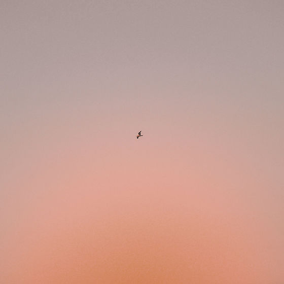 harshil-gudka-RPYW5QTBqYY-unsplash.jpg