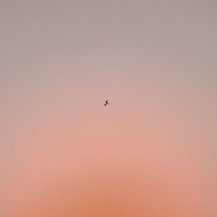 harshil-gudka-RPYW5QTBqYY-unsplash.jpg