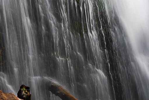 DSC_0419.jpg