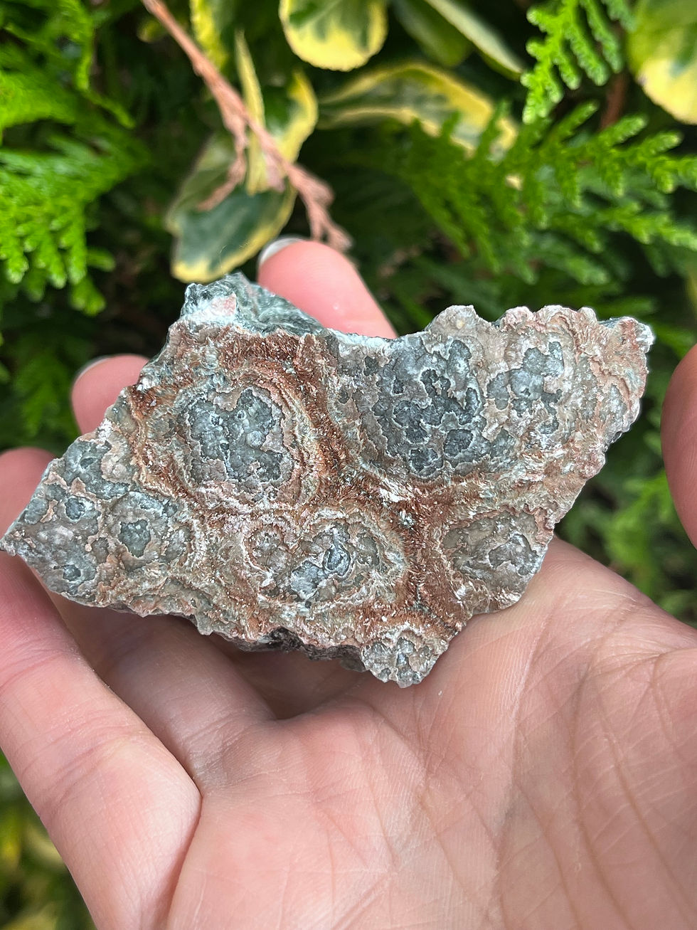 Miniature : Séraphinite brute