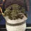 Miniature : Cthulhuke Princesse Leia