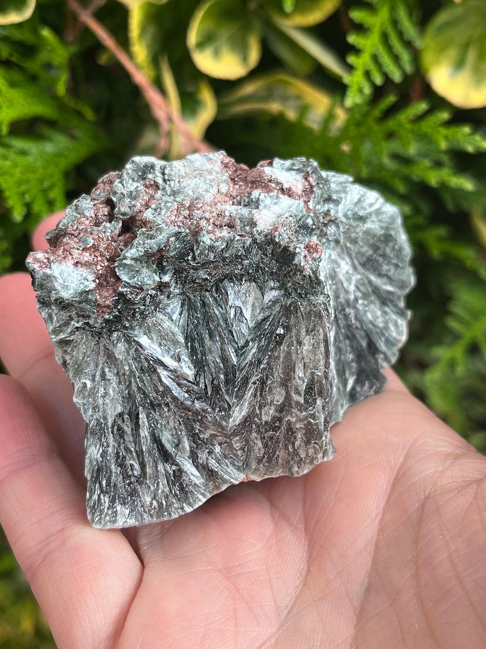 Miniature : Séraphinite brute