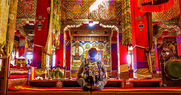 Finding Peace on Earth