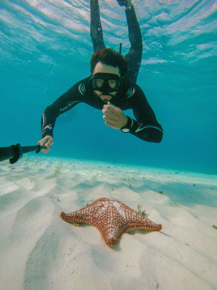 Mexico's Best Scuba Diving COZUMEL