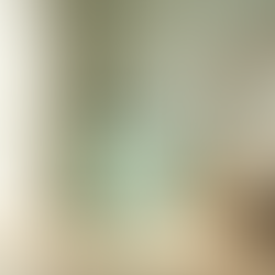 Como Prevenir Quedas de Animais de Estimação em Casa