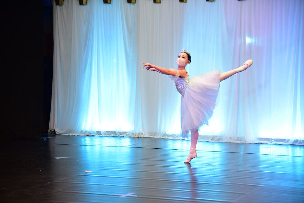 Sophie Amiri Goodman - Jewel Festival